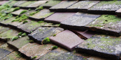 Steppingley roof repair costs